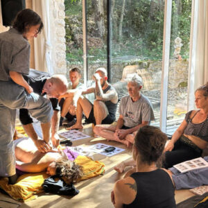 Ayurvedic Massage training course in Provence, south of France