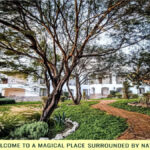 San Miguel de Allende_Casia Quiote Center