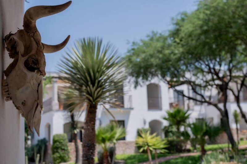 Outside_Casia-Quiote2