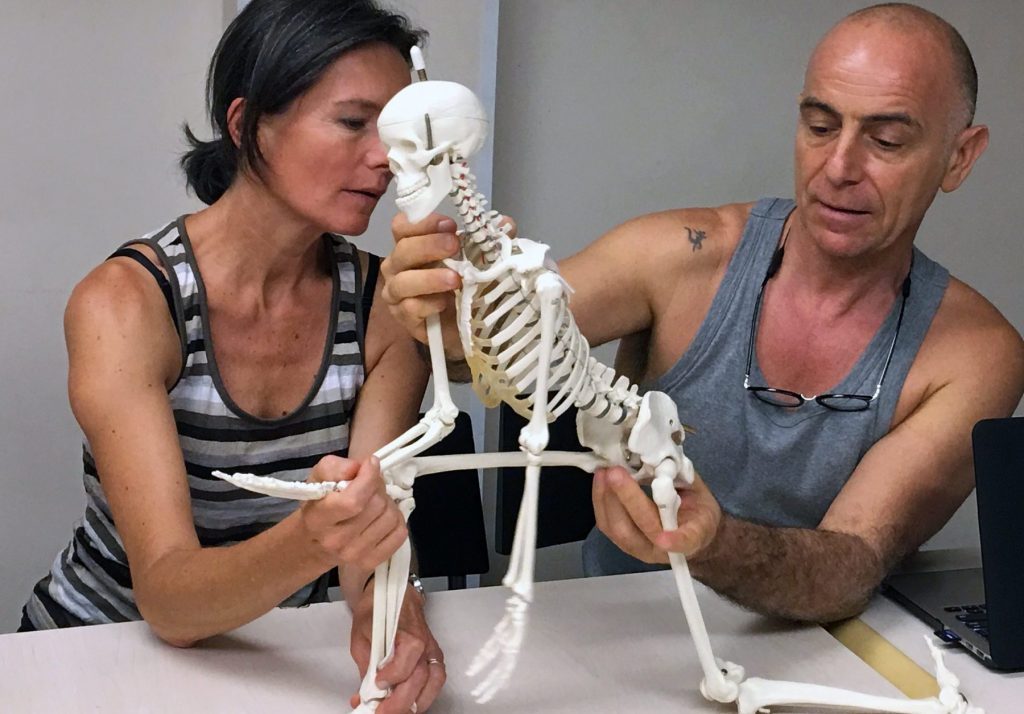 AYM Masterclass with Ananta Sylvain Girard – Hands-on Learning